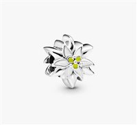 Charm Pandora in Argento 798243ENMX - 798243ENMX